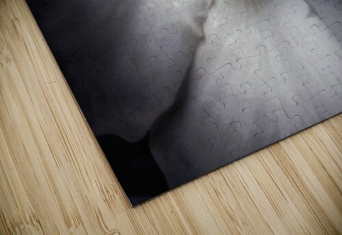 V641 Natalie Stanislavsky puzzle