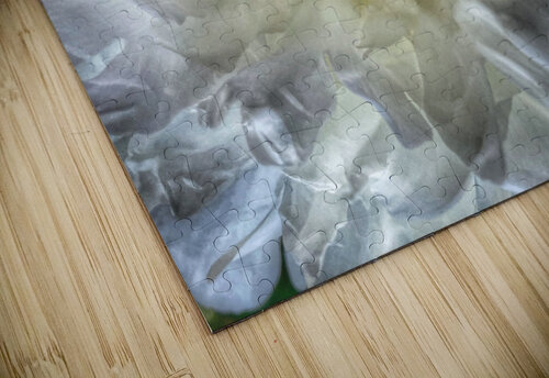 V643 Natalie Stanislavsky puzzle