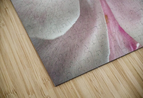 V644 Natalie Stanislavsky puzzle