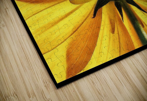 V687 Natalie Stanislavsky puzzle