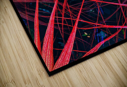 V697 Natalie Stanislavsky puzzle