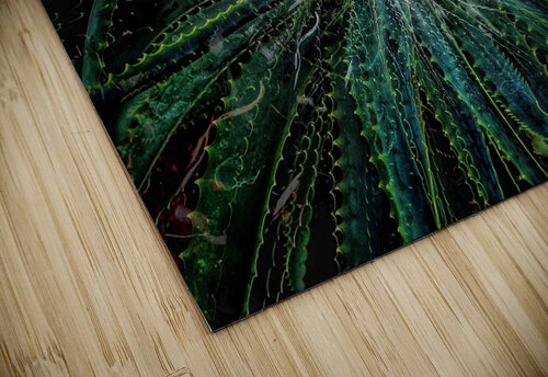 V708 Natalie Stanislavsky puzzle