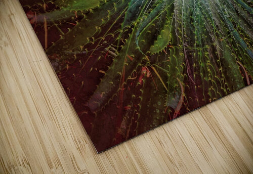 V711 Natalie Stanislavsky puzzle