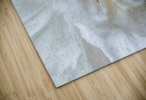 V720 Natalie Stanislavsky puzzle