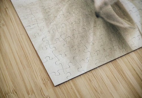 V721 Natalie Stanislavsky puzzle