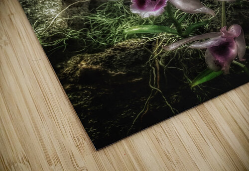 V728 Natalie Stanislavsky puzzle