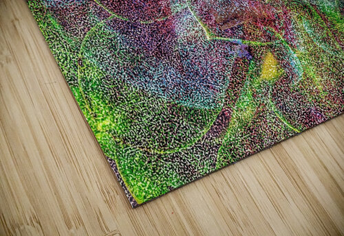 V750 Natalie Stanislavsky puzzle