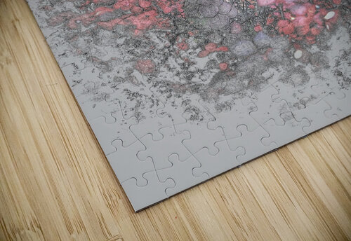 V795 Natalie Stanislavsky puzzle