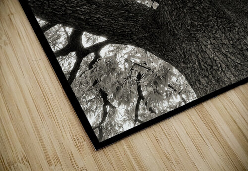 V802 Natalie Stanislavsky puzzle