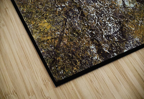 V803 Natalie Stanislavsky puzzle