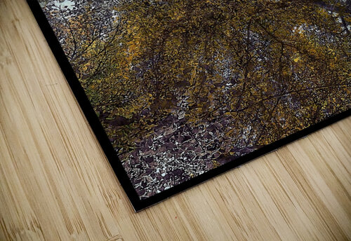 V812 Natalie Stanislavsky puzzle