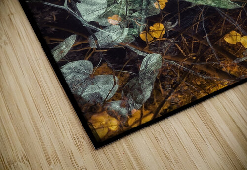 V821 Natalie Stanislavsky puzzle