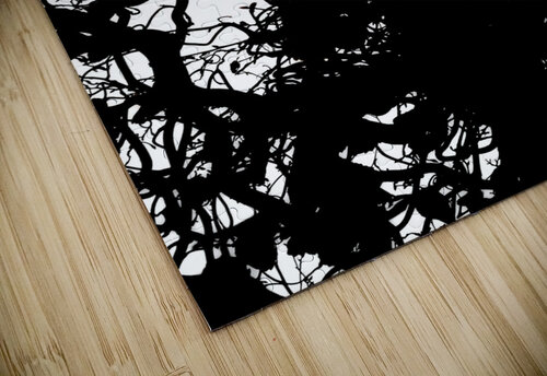 V823 Natalie Stanislavsky puzzle