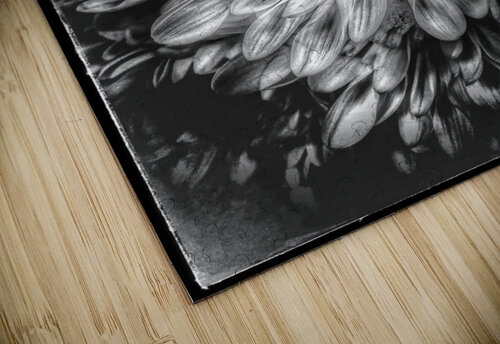V827 Natalie Stanislavsky puzzle