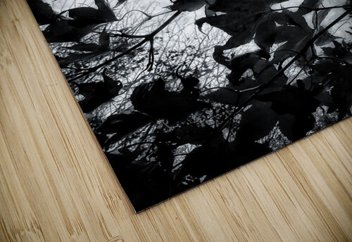V830 Natalie Stanislavsky puzzle