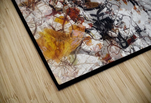 V832 Natalie Stanislavsky puzzle