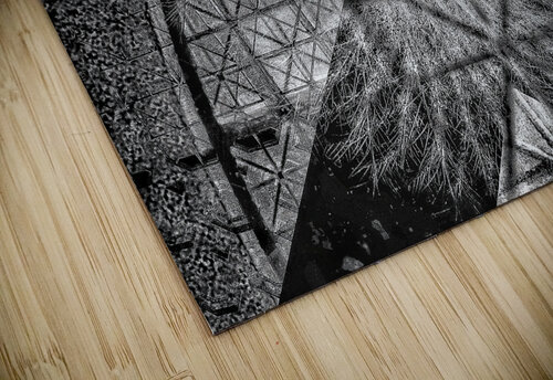V836 Natalie Stanislavsky puzzle