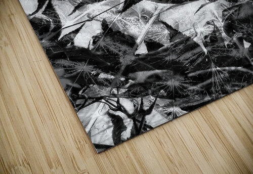 V838 Natalie Stanislavsky puzzle