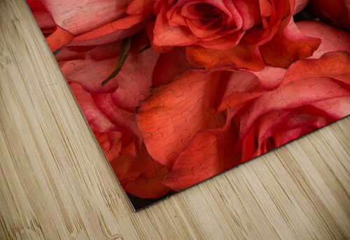 V858 Natalie Stanislavsky puzzle
