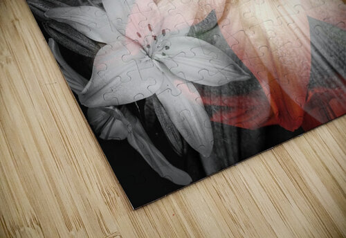 V860 Natalie Stanislavsky puzzle
