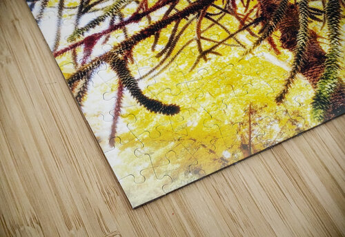 V861 Natalie Stanislavsky puzzle