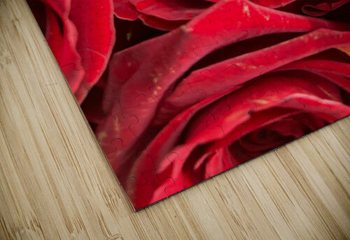 V862 Natalie Stanislavsky puzzle