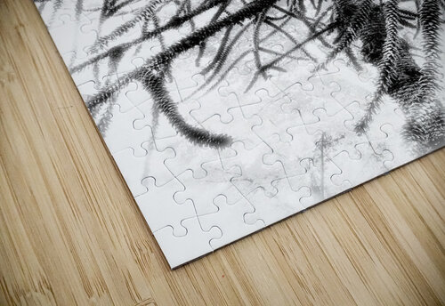 V863 Natalie Stanislavsky puzzle