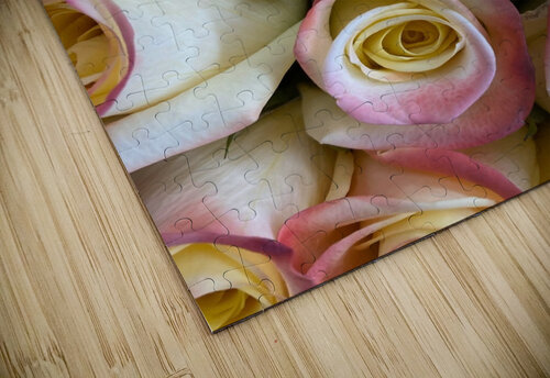 V864 Natalie Stanislavsky puzzle