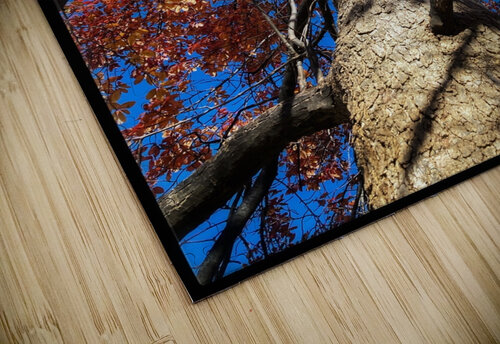 V877 Natalie Stanislavsky puzzle