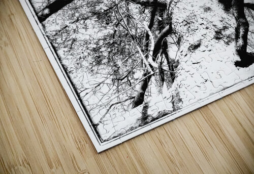 V879 Natalie Stanislavsky puzzle