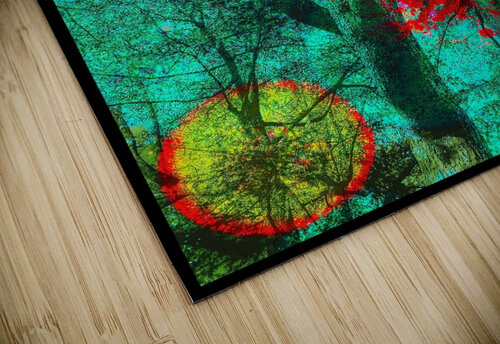 V881 Natalie Stanislavsky puzzle