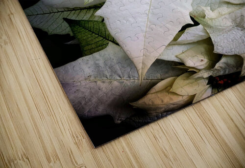 V908 Natalie Stanislavsky puzzle