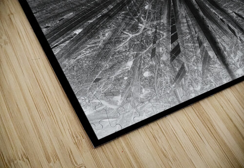 V918 Natalie Stanislavsky puzzle