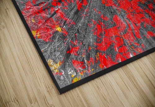 V927 Natalie Stanislavsky puzzle