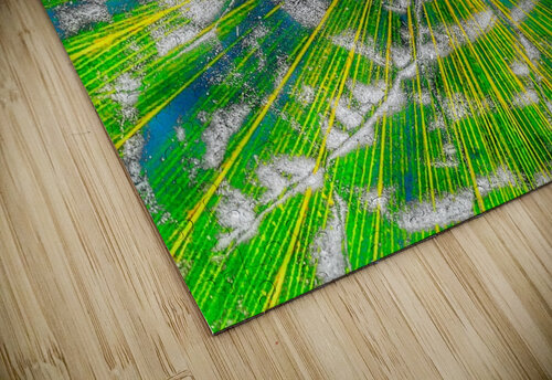 V935 Natalie Stanislavsky puzzle