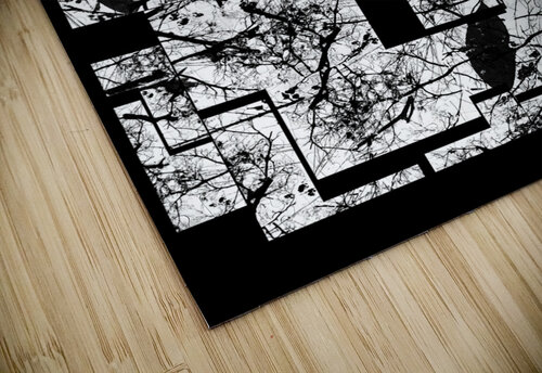 V975 Natalie Stanislavsky puzzle