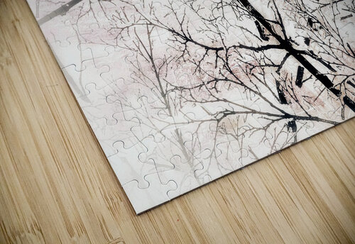 V996 Natalie Stanislavsky puzzle
