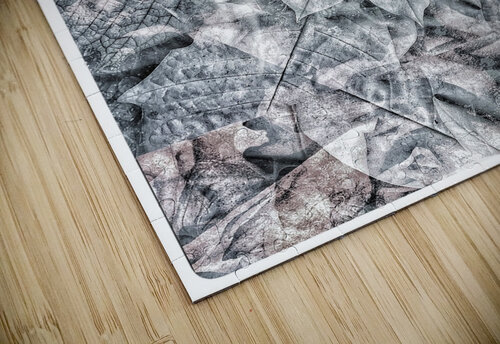 V1019 Natalie Stanislavsky puzzle