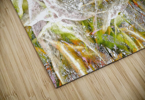 V1031 Natalie Stanislavsky puzzle