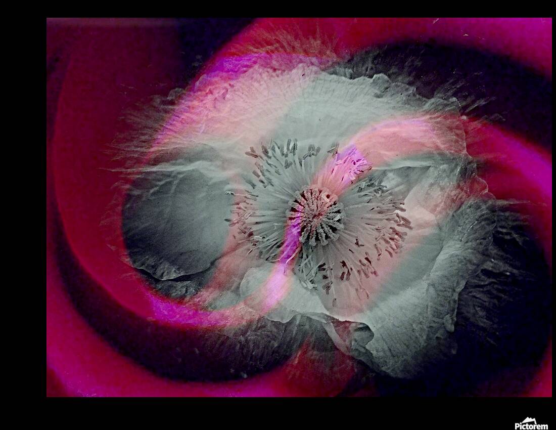 V1707 Reproduction