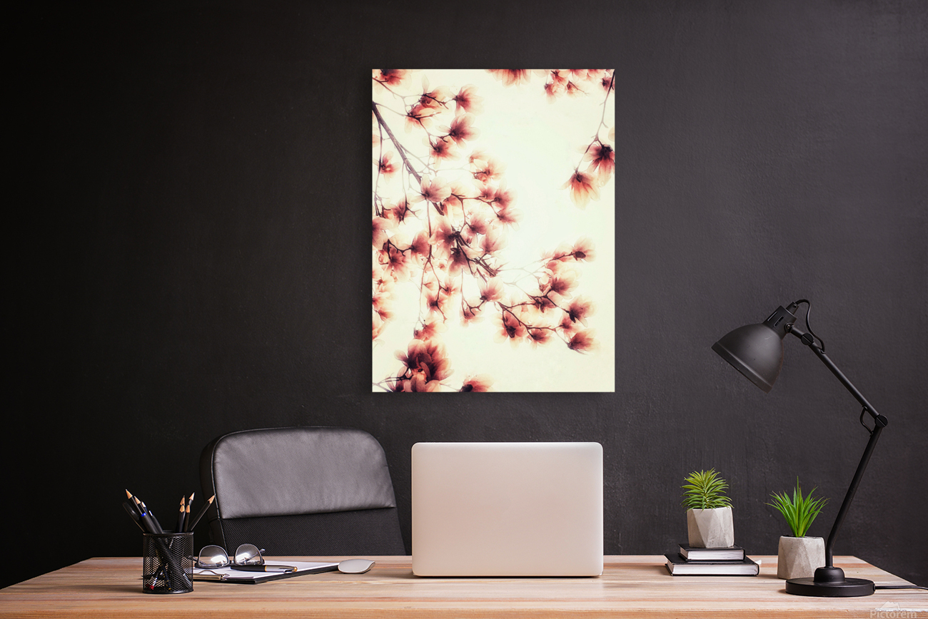 V224 Reproduction