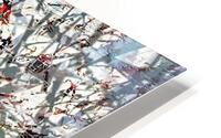 V1046 HD Metal print
