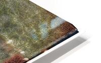 V1052 HD Metal print