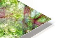 V1061 HD Metal print