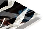 V1068 HD Metal print