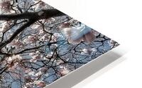 V1069 HD Metal print