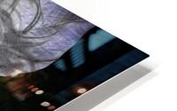 V1071 HD Metal print