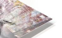 V1079 HD Metal print