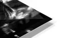 V1082 HD Metal print
