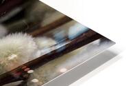 V1094 HD Metal print